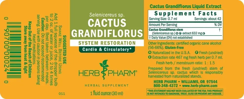 Product image for Cactus Grandiflorus.