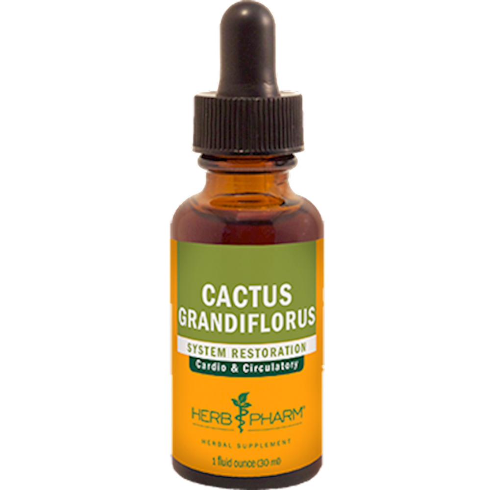 Product image for Cactus Grandiflorus.