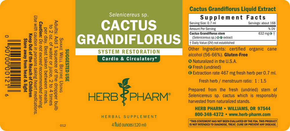 Product image for Cactus Grandiflorus.
