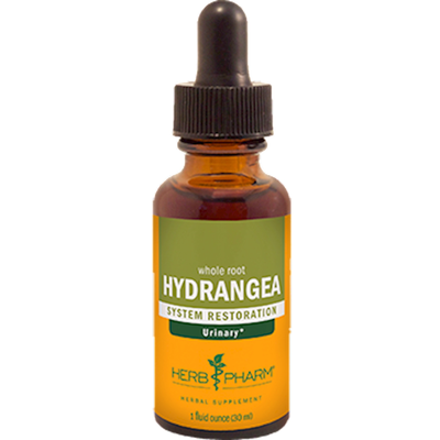 Hydrangea product image
