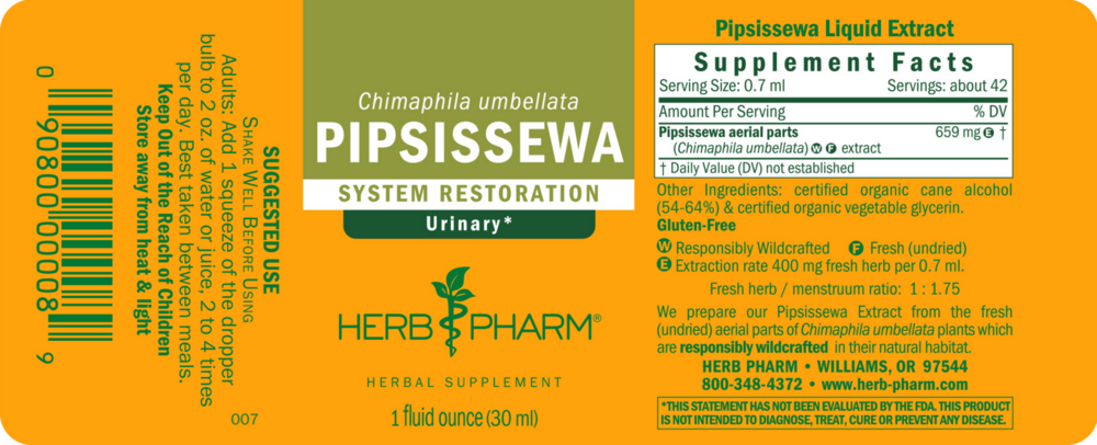 Product image for Pipsissewa.