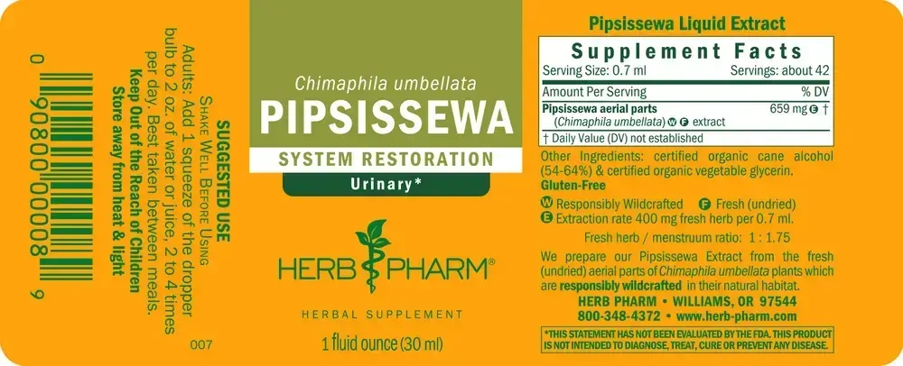 Product image for Pipsissewa.