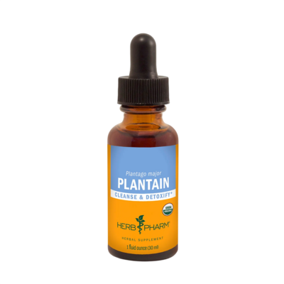 Plantain 30 Milliliters