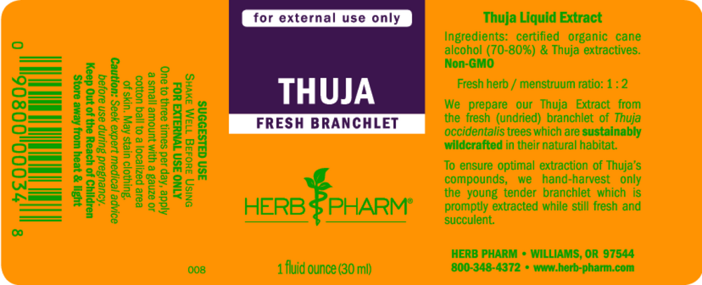 Product image for Thuja.