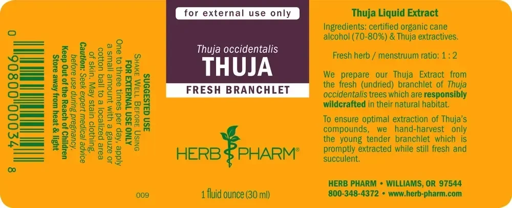 Product image for Thuja.