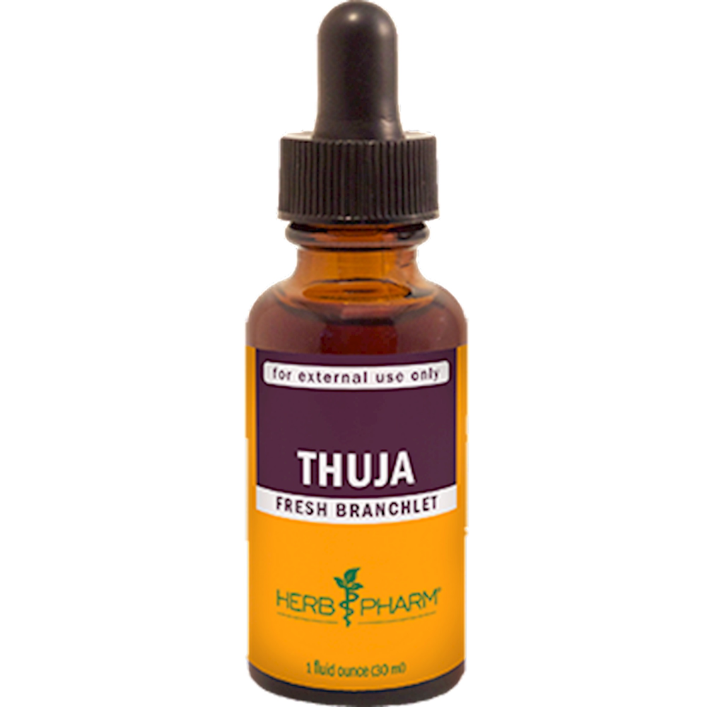 Product image for Thuja.