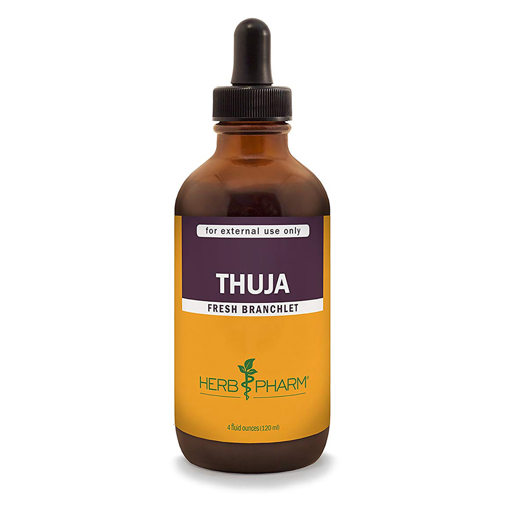 Thuja product image