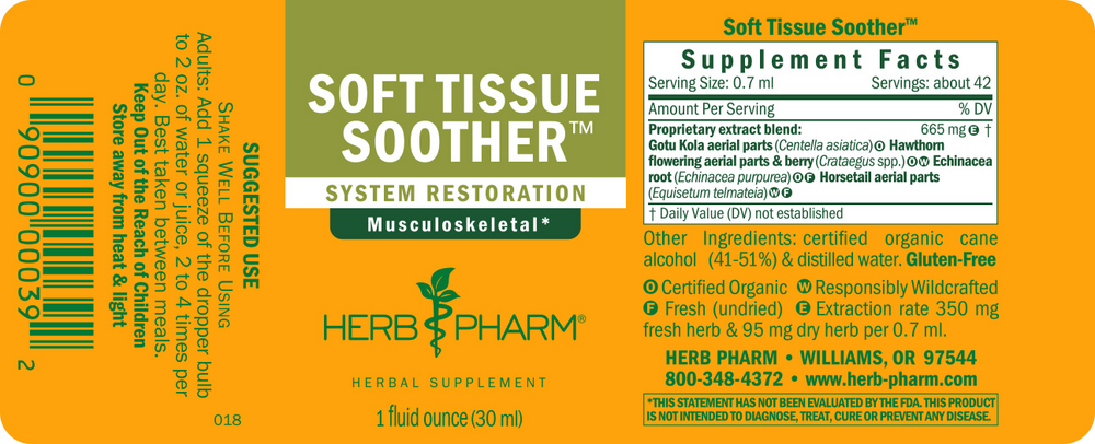 Product image for Connective Tissue.
