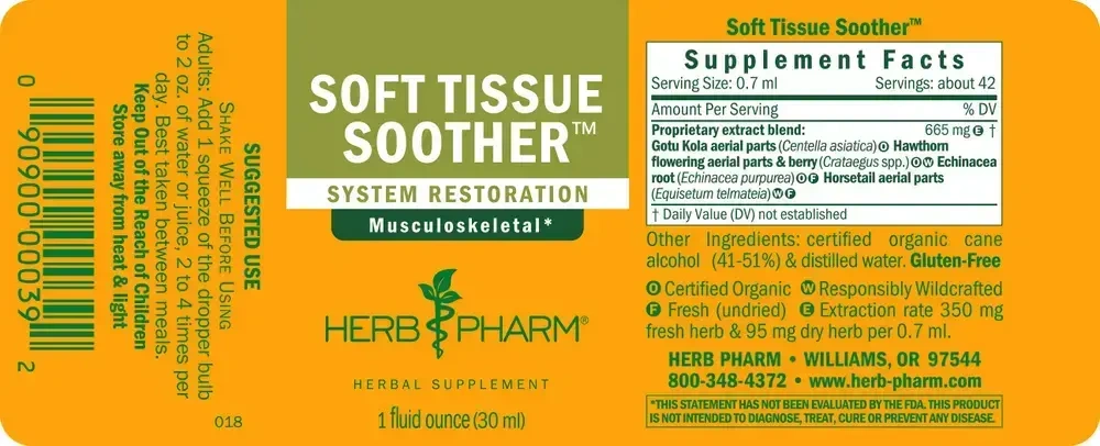 Product image for Connective Tissue.