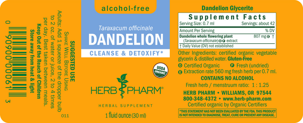 Product image for Dandelion Glycerite.