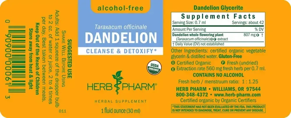 Product image for Dandelion Glycerite.