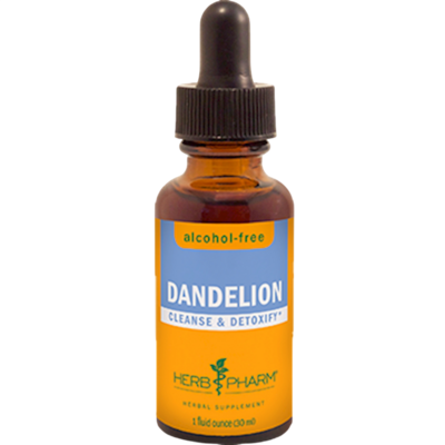 Dandelion Glycerite