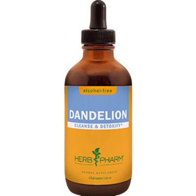Dandelion Glycerite 120 Milliliters