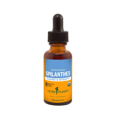 Spilanthes 30 Milliliters