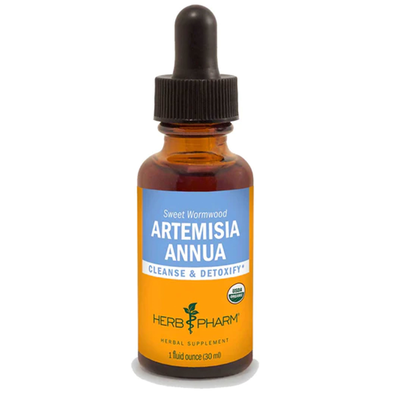 Artemisia Annua product image