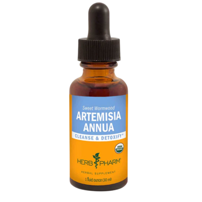 Artemisia Annua 30 Milliliters Artemisia Annua 30 Milliliters