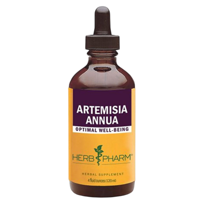Artemisia Annua
