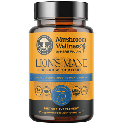 Lion's Mane Blend with Reishi 90 capsules