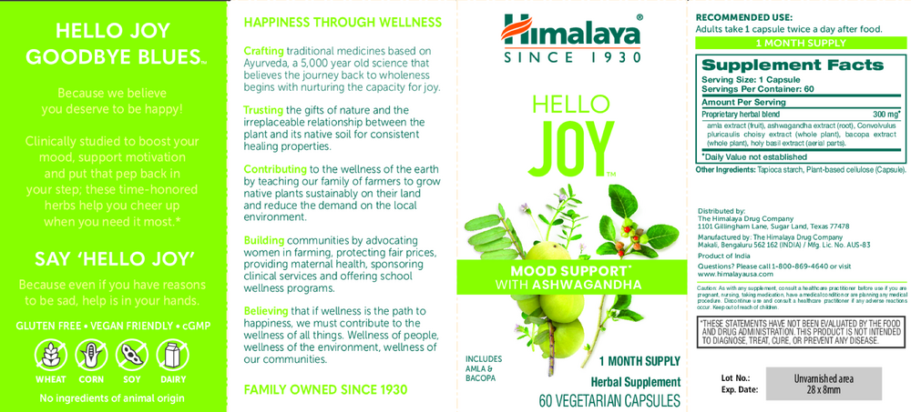 Product image for Hello Joy.