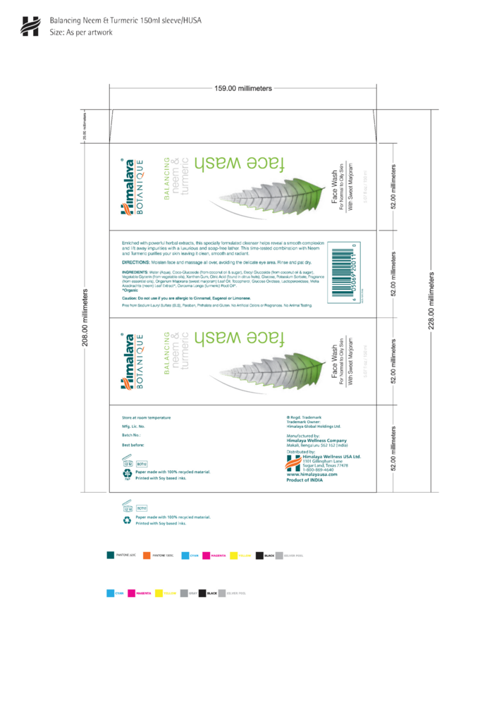 Product image for Neem &amp; Turmeric Face Wash.