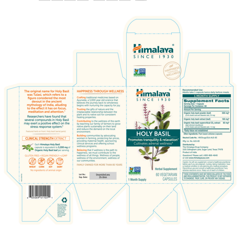 Product image for Holy Basil.