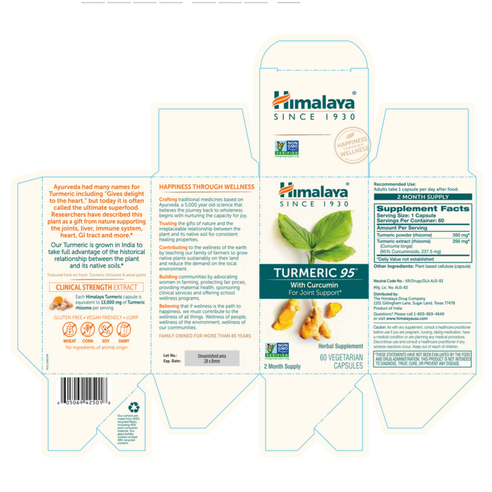 Product image for Turmeric 95.