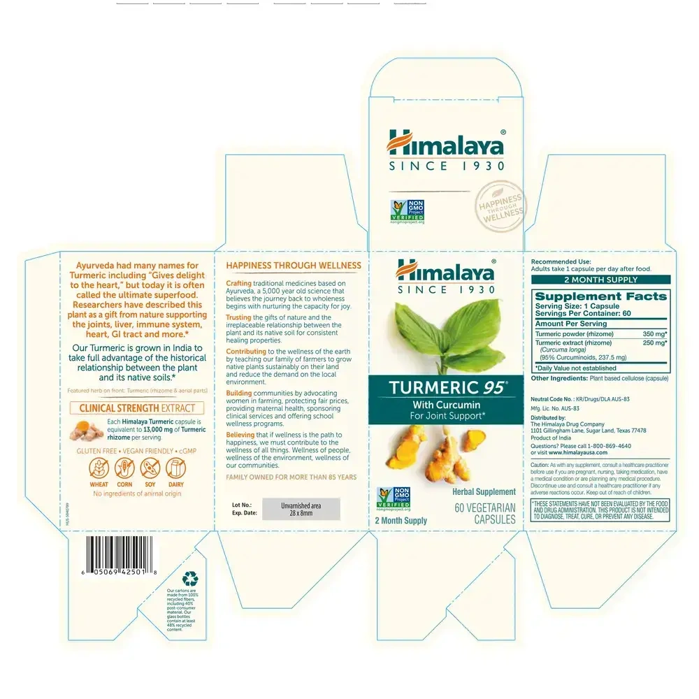 Product image for Turmeric 95.