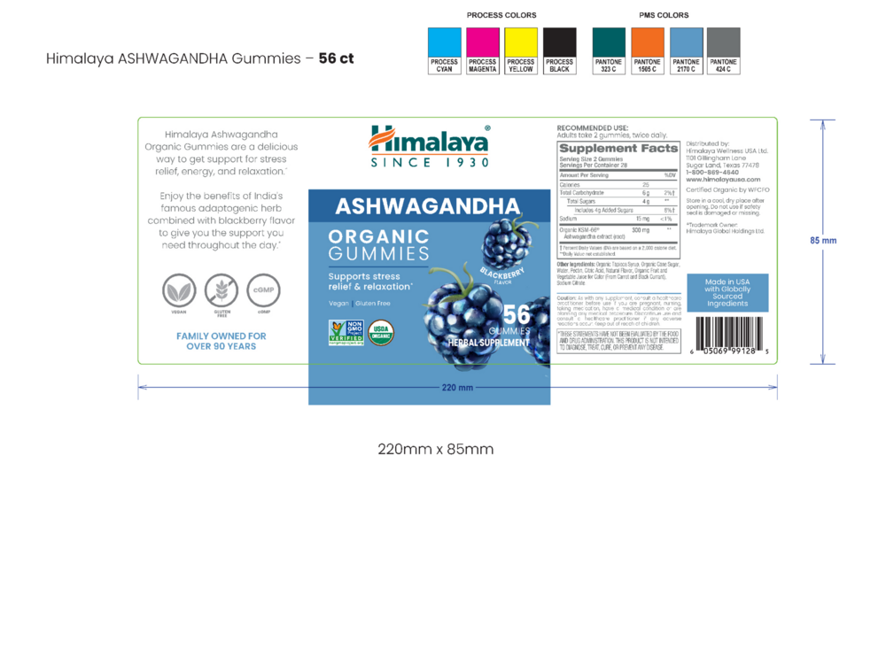Product image for Ashwagandha Gummies.