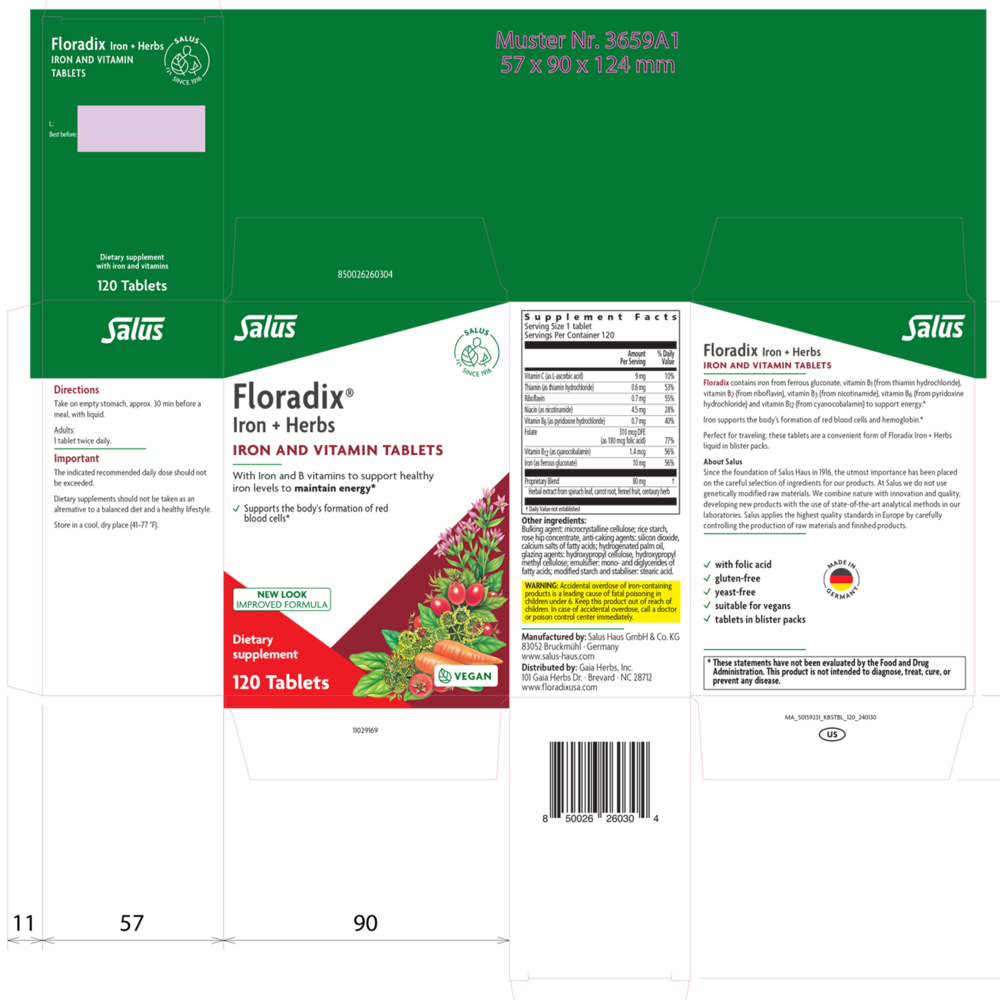 Product image for Floradix Iron.