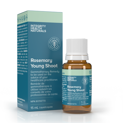 Rosemary Young Shoot - Rosmarinus officinalis product image