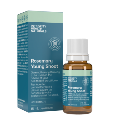Rosemary Young Shoot - Rosmarinus officinalis