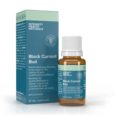 Black Currant Bud - Ribes nigrum product image