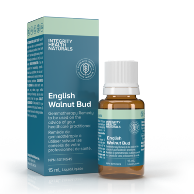 English Walnut Bud - Juglans Regia product image