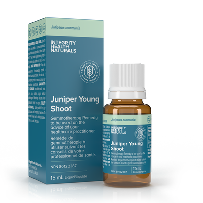 Juniper Young Shoot - Juniperus Communis product image