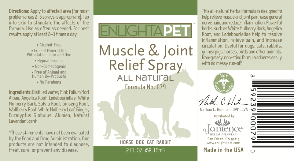 Product image for EnlightAPet Muscle &amp; Joint Relief Spray (Vet).