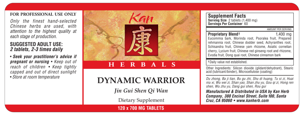 Product image for Dynamic Warrior.