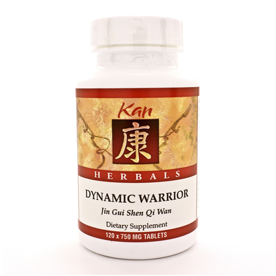 Dynamic Warrior product image