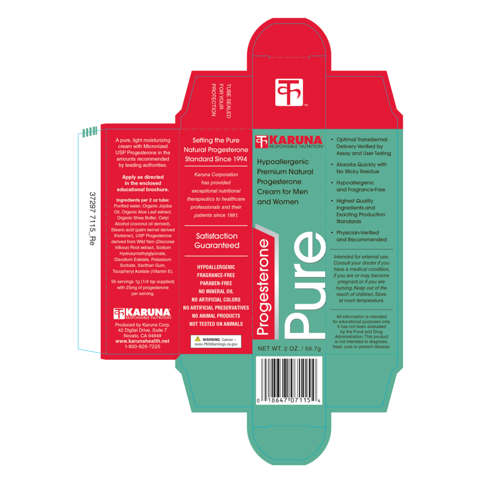 Product image for Progesterone Pure.