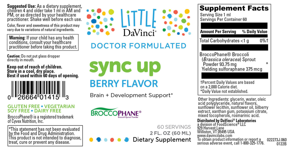 Product image for Sync Up.