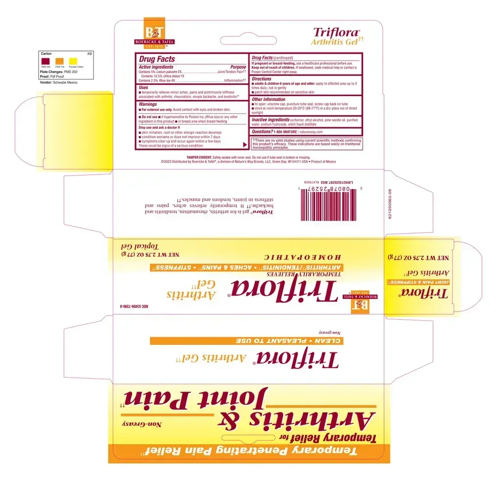 Product image for Triflora Gel.
