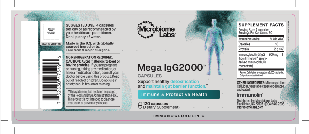 Product image for MegaIgG2000.