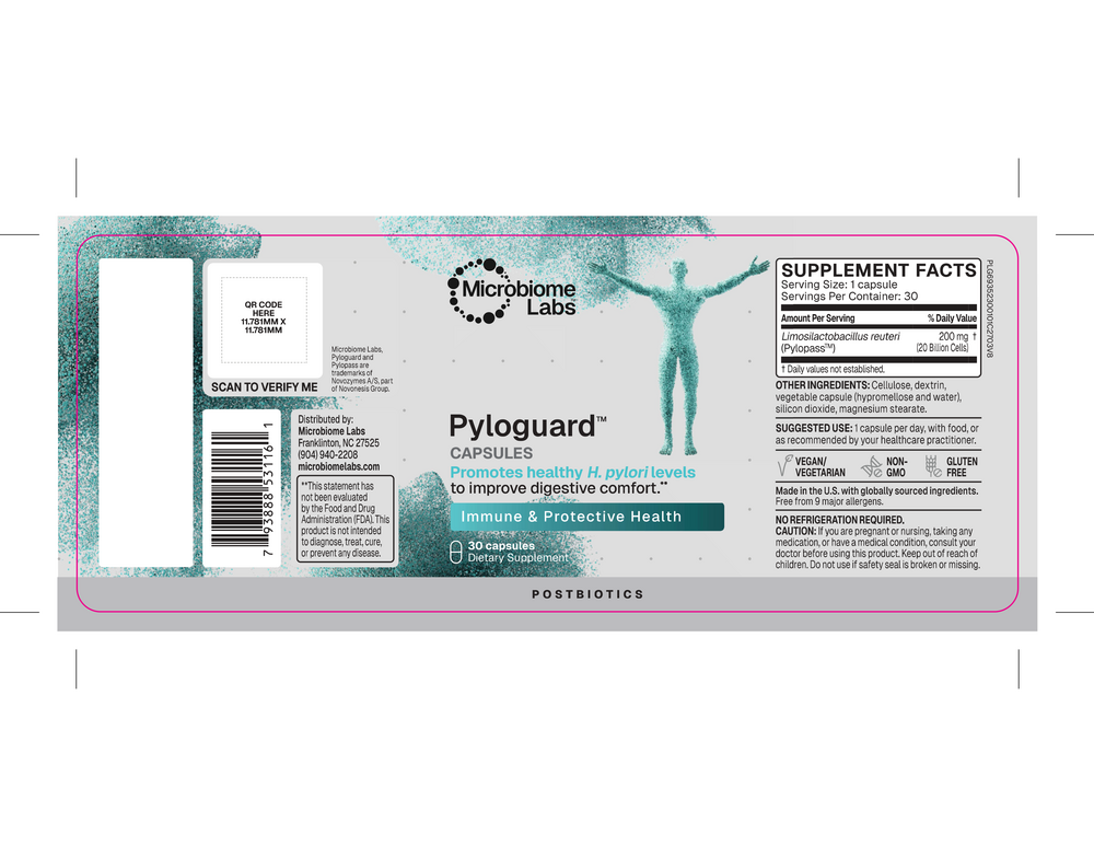 Product image for Pyloguard™.
