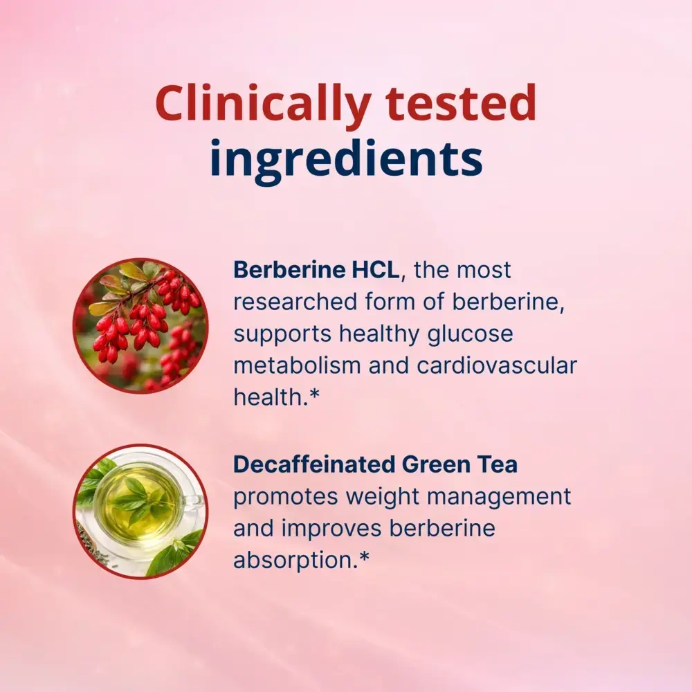 Product image for Berberine GT.