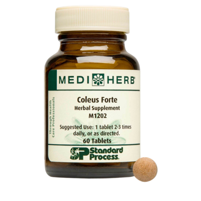 Coleus Forte