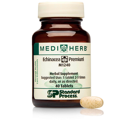 Echinacea Premium product image