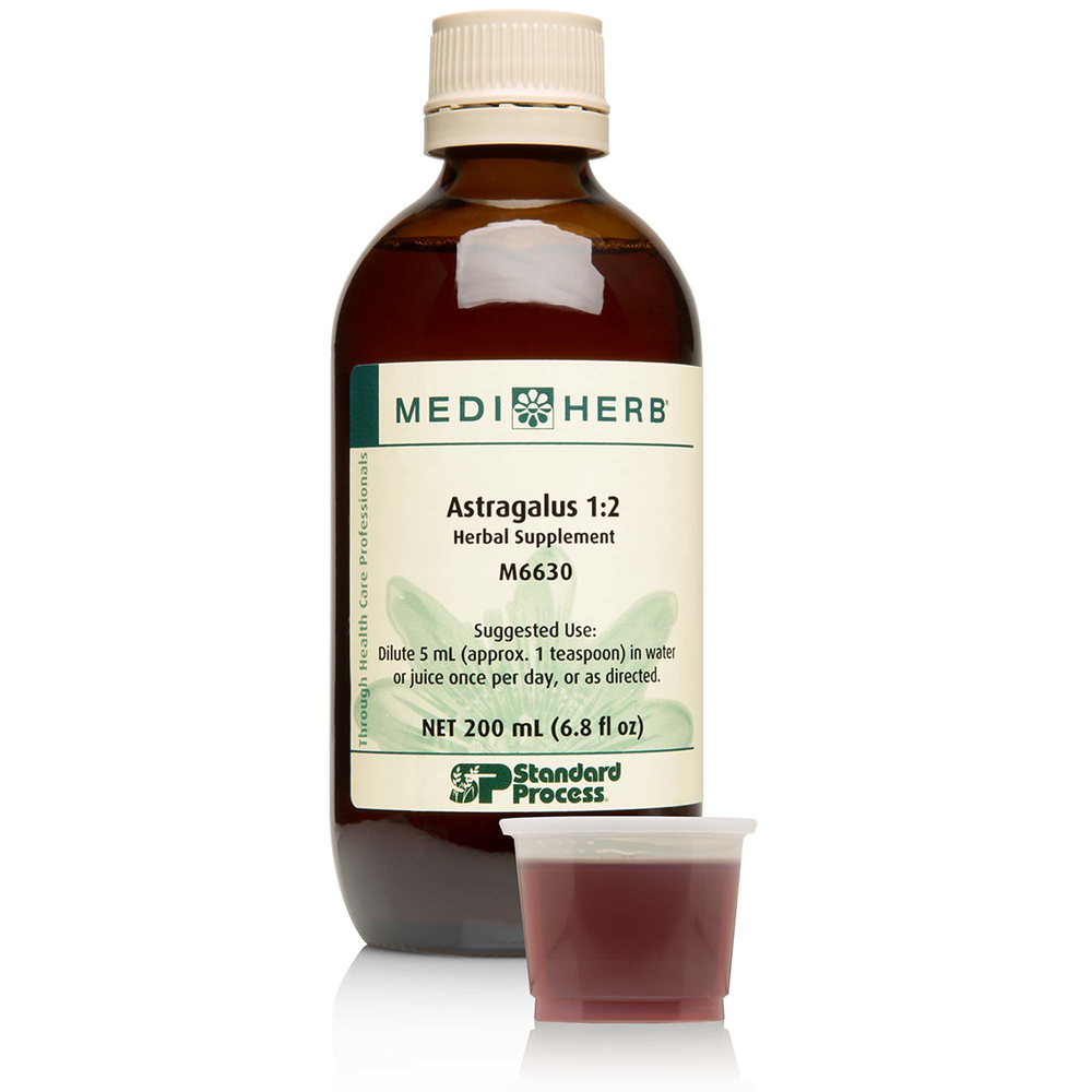 Astragalus 1:2 product image