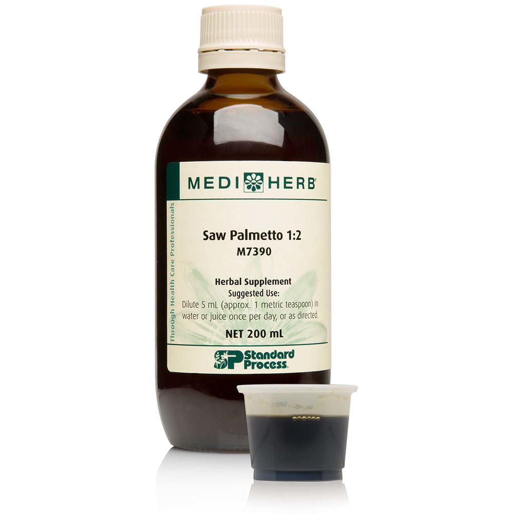 Saw Palmetto 1:2 product image