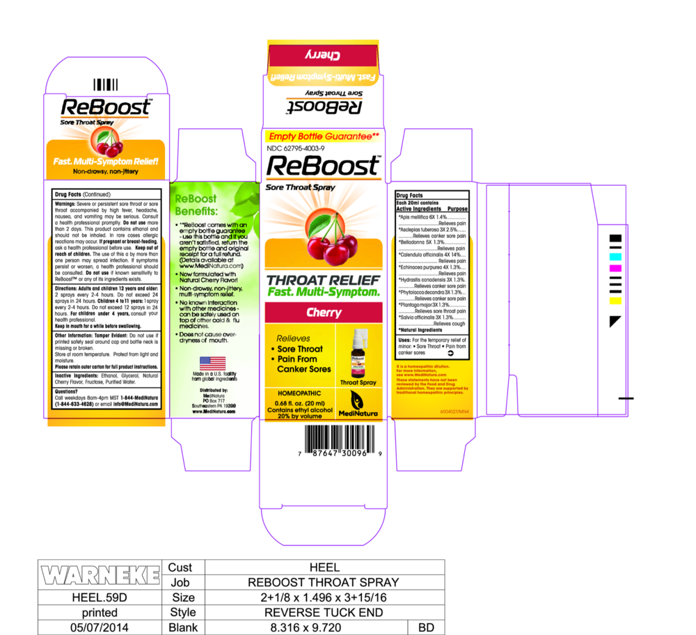 Product image for ReBoost Zinc +13 Sore Throat Spray.