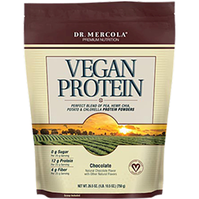 Vegan Protein Chocolate 750 Grams