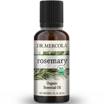 Organic Rosemary Essential Oil product image